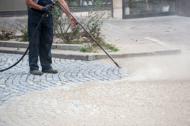 Best Dumpster Area Cleaning  in Ponce Inlet, FL